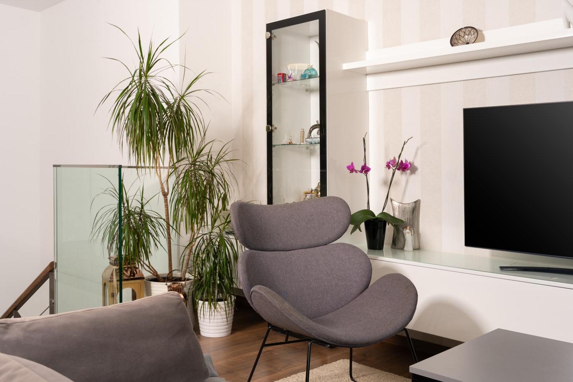 Apartments Palma ראבץ מראה חיצוני תמונה